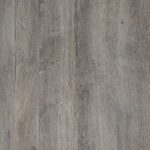 Lakeland Oak 2